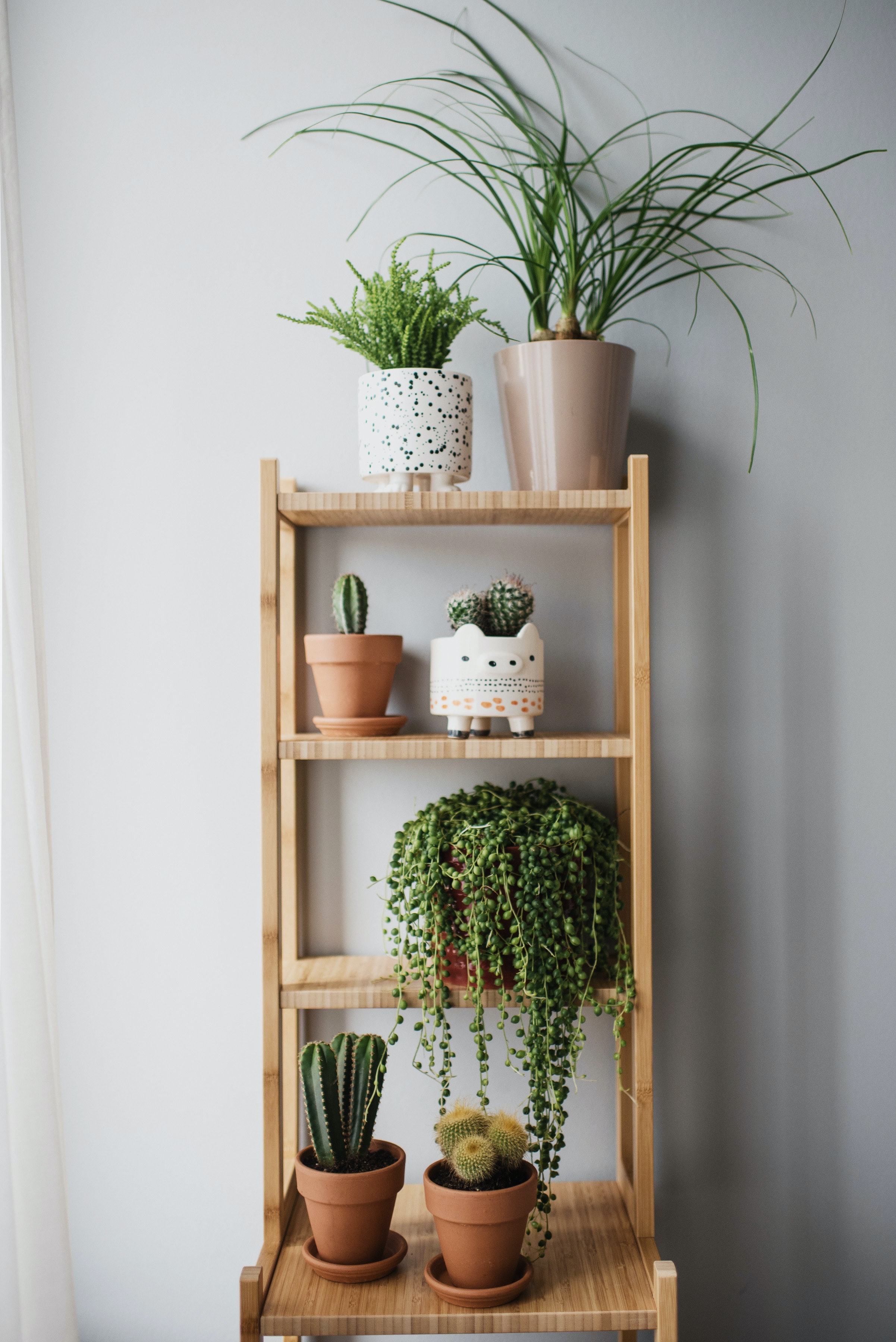 wooden shelf image